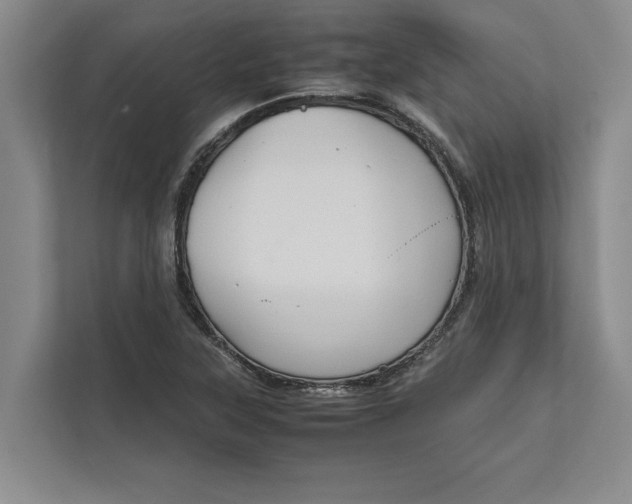 X0000111841315200908131410