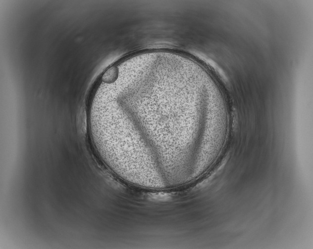 X0000111841317200908131410