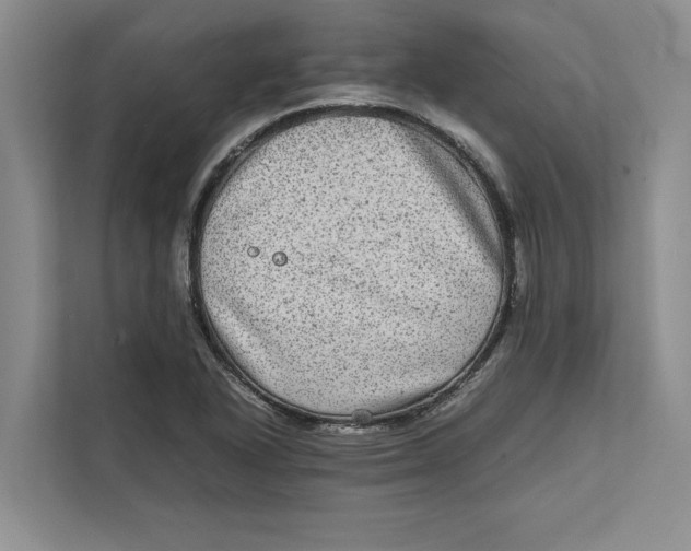 X0000111841318200908131410