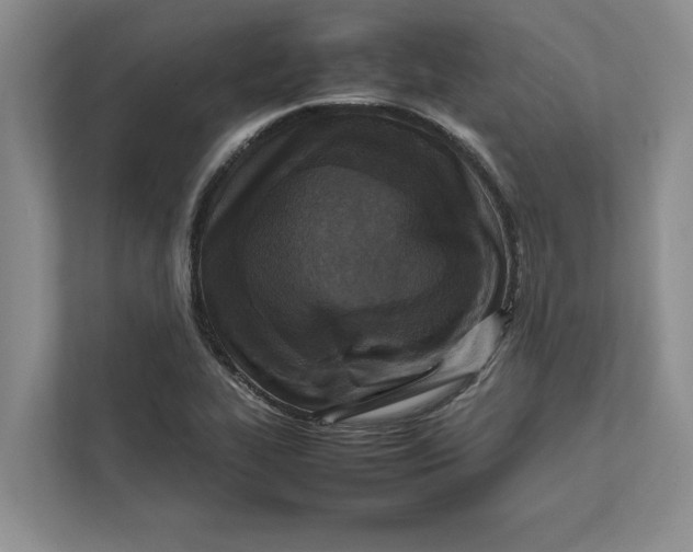 X0000111841319200908131410