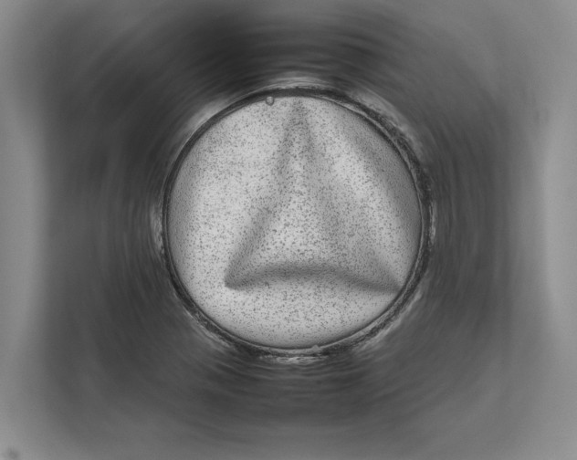 X0000111841321200908131410