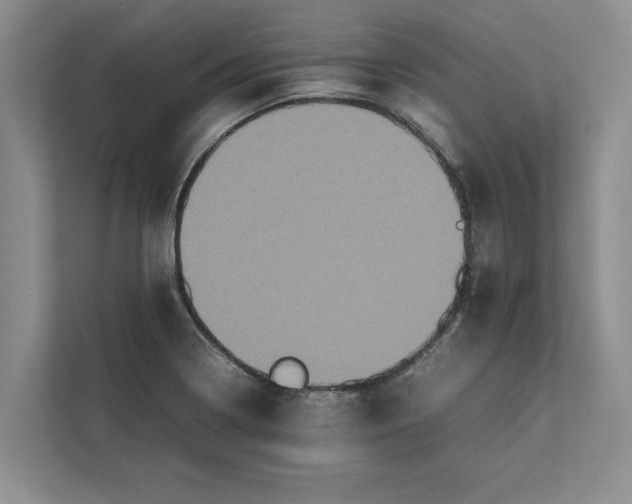 X0000111841322200908131410