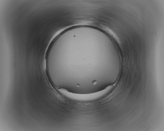 X0000111841324200908131410