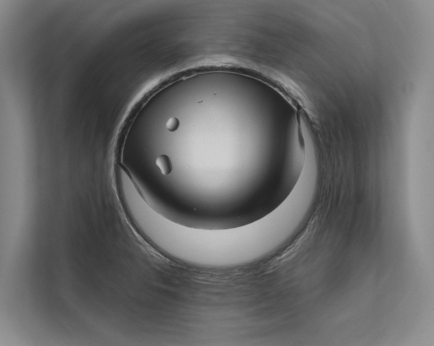 X0000111841326200908131410