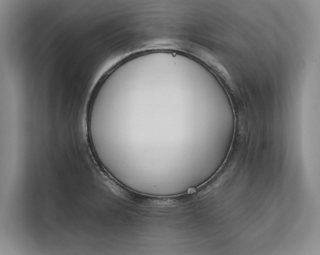 X0000111841328200908131410