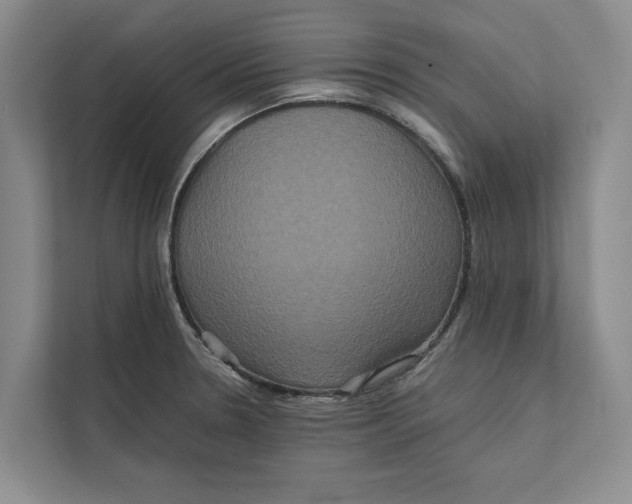 X0000111841330200908131410