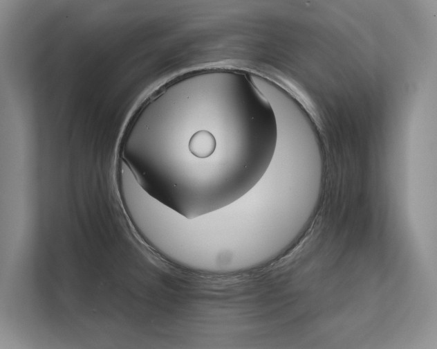 X0000111841332200908131410