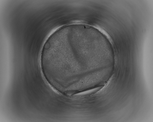 X0000111841333200908131410