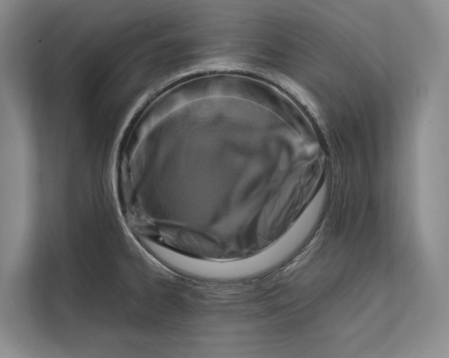 X0000111841334200908131410