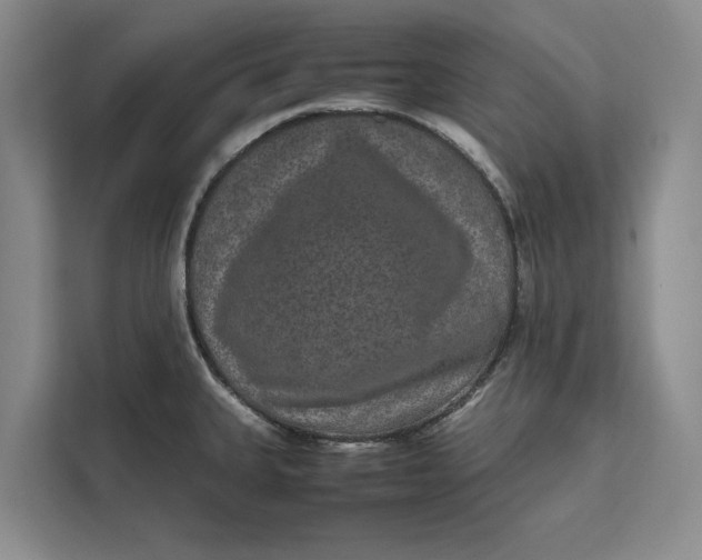 X0000111841335200908131410