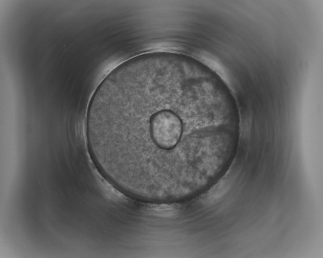 X0000111841338200908131410