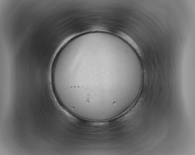 X0000111841339200908131410