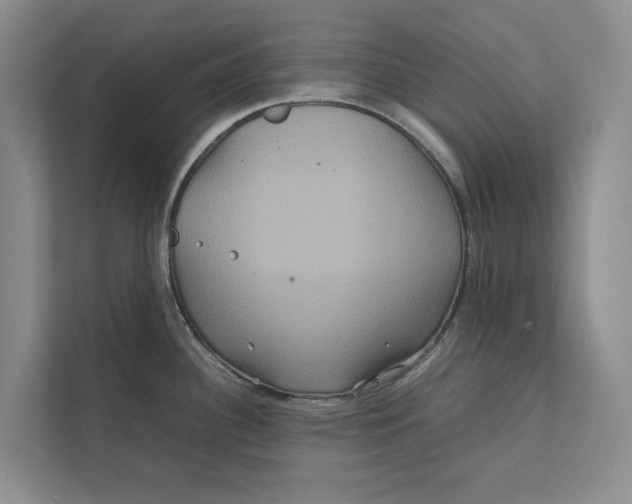 X0000111841340200908131411