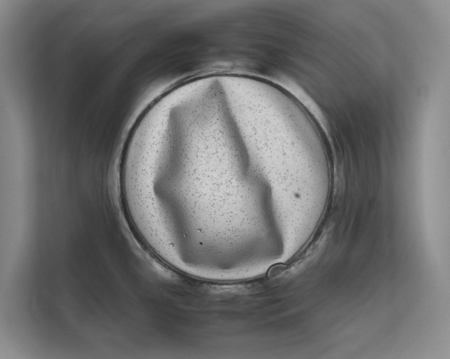 X0000111841341200908131411