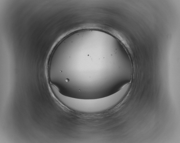 X0000111841342200908131411