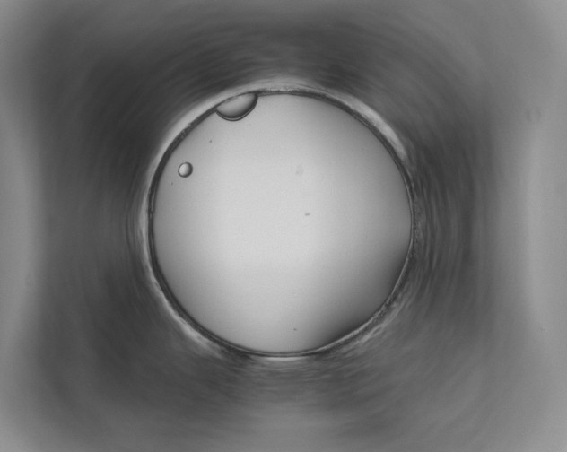 X0000111841343200908131411