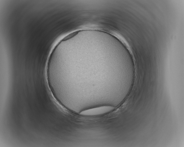 X0000111841344200908131411