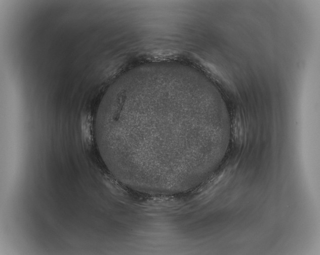 X0000111841346200908131410