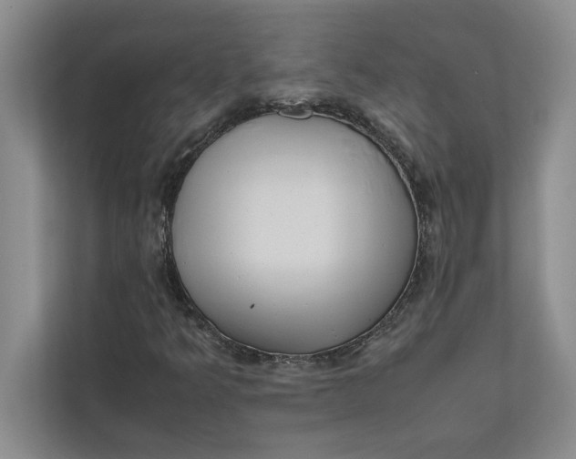 X0000111841349200908131410