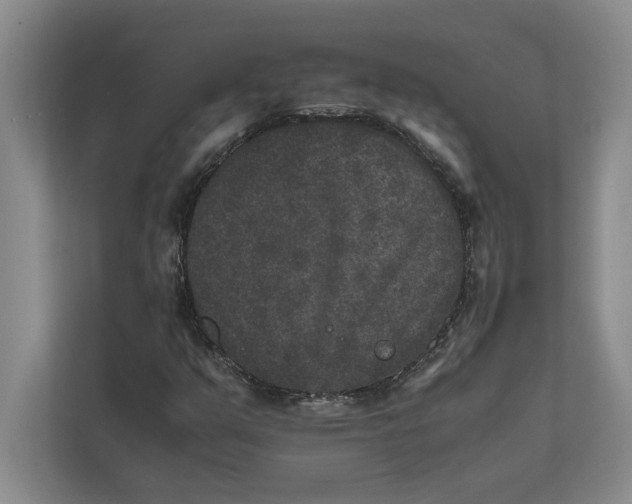 X0000111841351200908131410