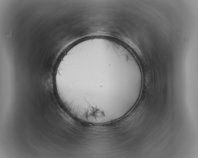 X0000111841356200908131410