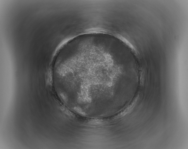 X0000111841358200908131410