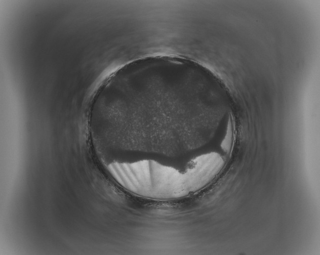 X0000111841359200908131410