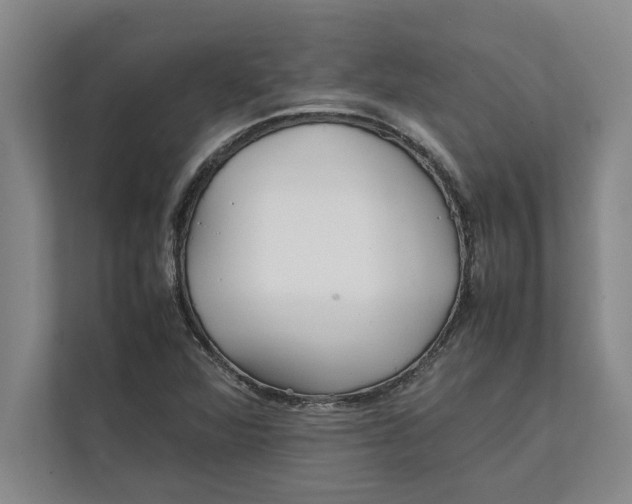 X0000111841360200908131410