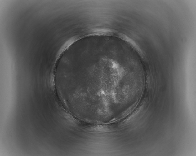 X0000111841362200908131410