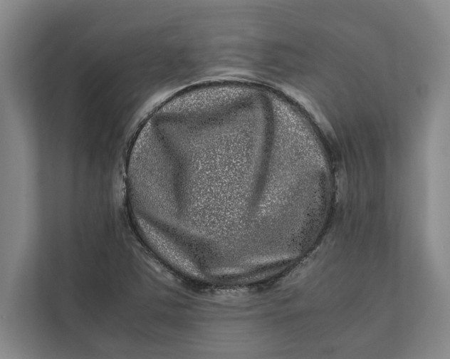 X0000111841363200908131410