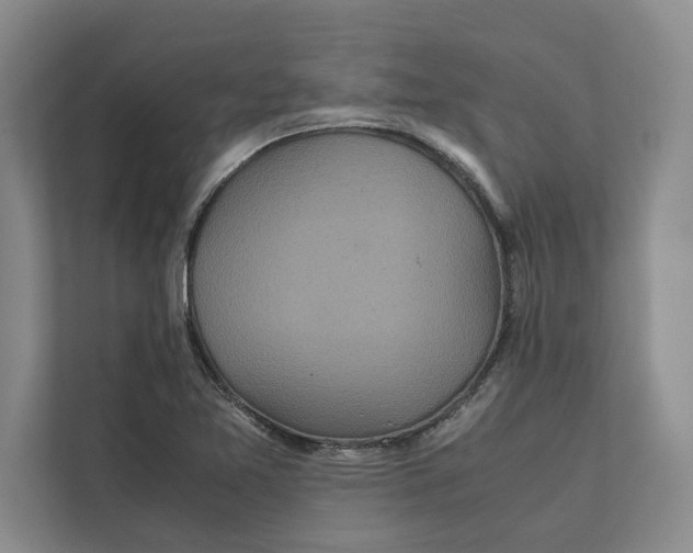 X0000111841365200908131410