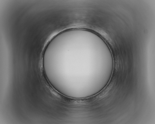 X0000111841366200908131410