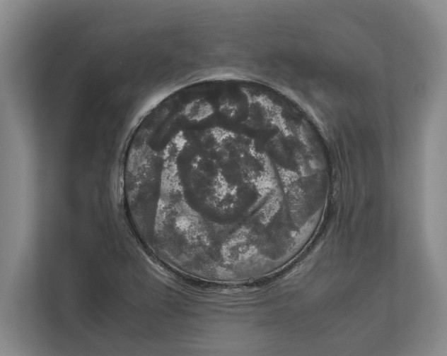 X0000111841367200908131410