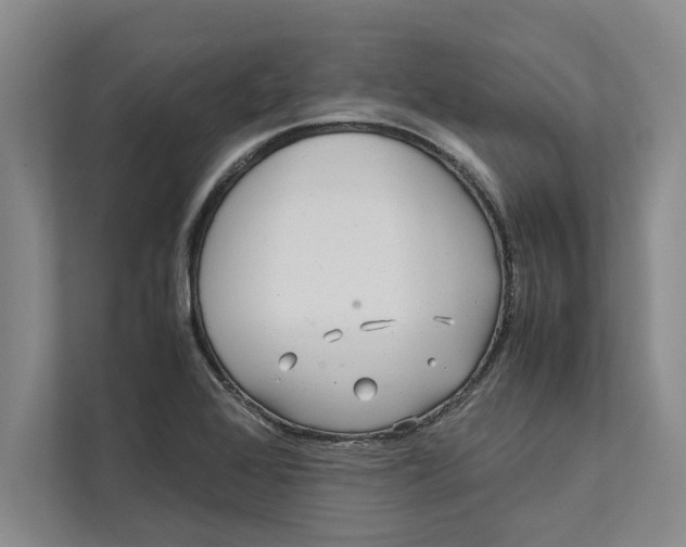 X0000111841368200908131410