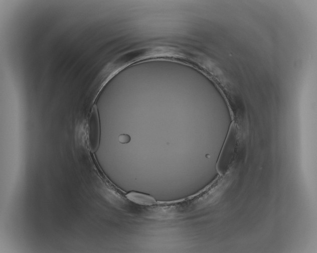 X0000111841369200908131410