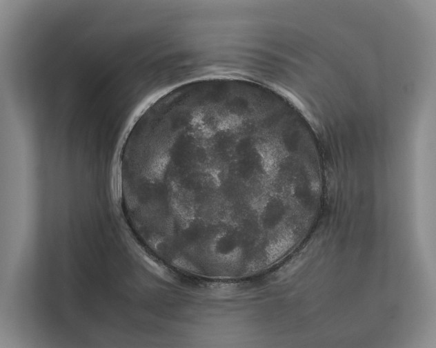 X0000111841371200908131409