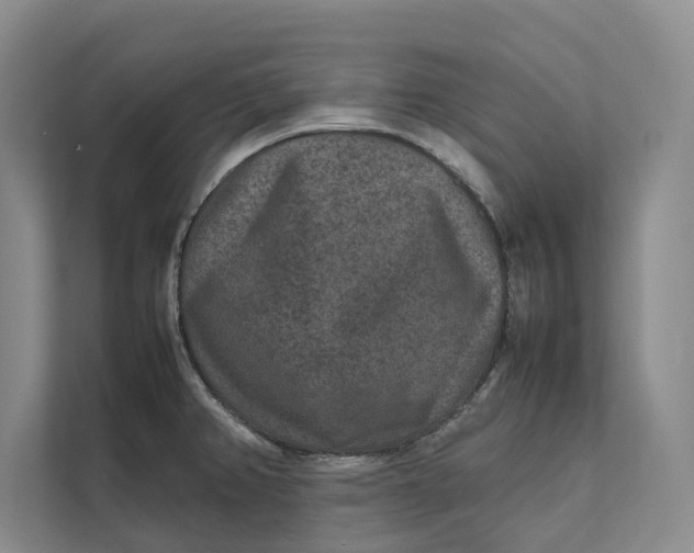 X0000111841382200908131409