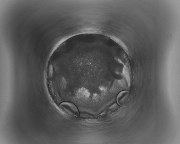 X0000111841383200908131409