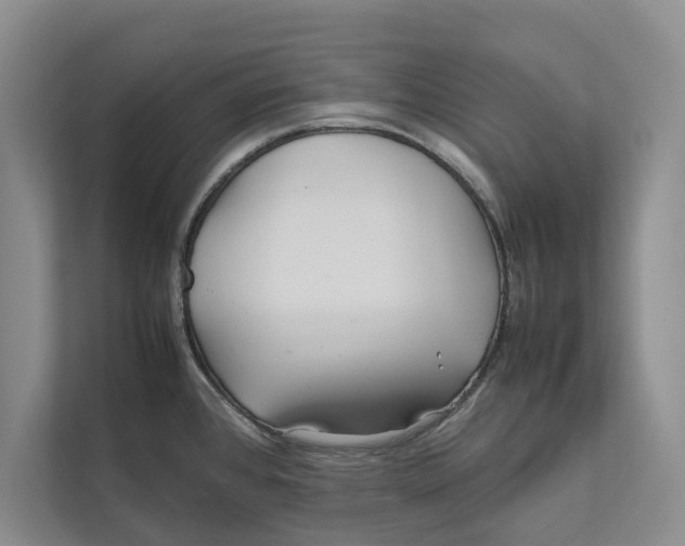 X0000111841384200908131409