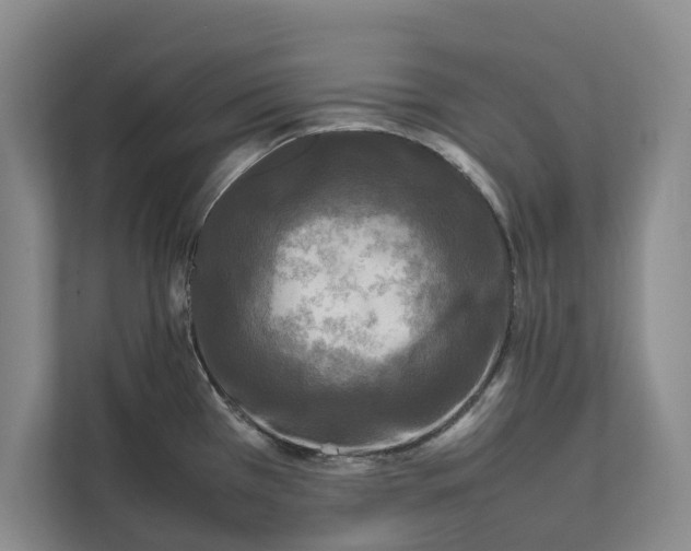 X0000111841385200908131409