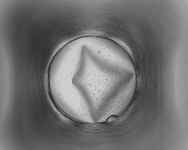 X0000111841391200908131409