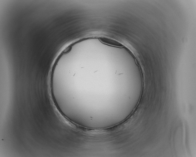 X0000111841392200908131409