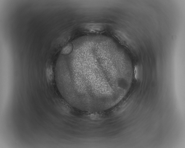 X0000111841395200908131409