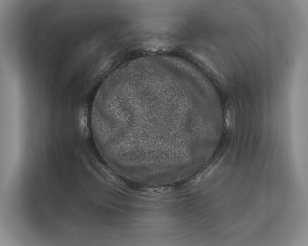 X0000111841396200908131409