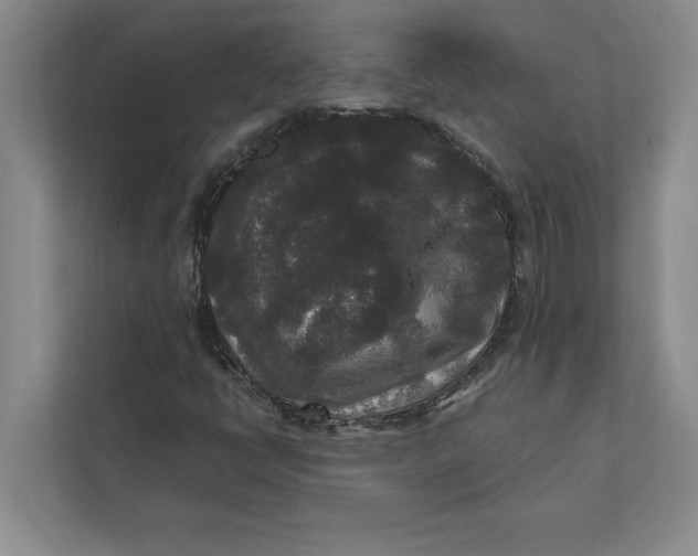 X0000111841398200908131409