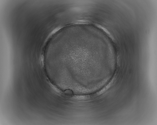 X0000111841402200908131409