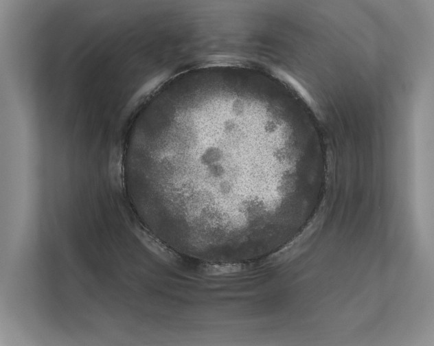 X0000111841403200908131409