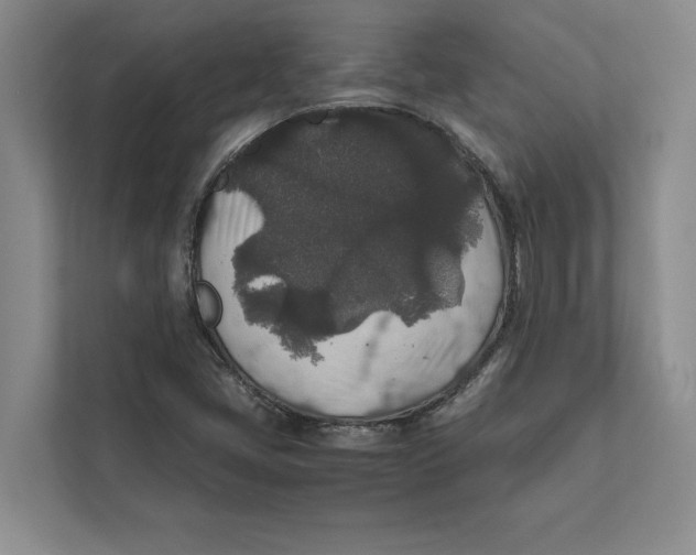 X0000111841405200908131409