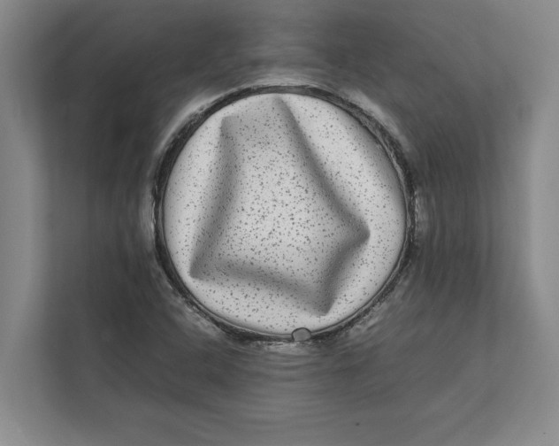 X0000111841408200908131409