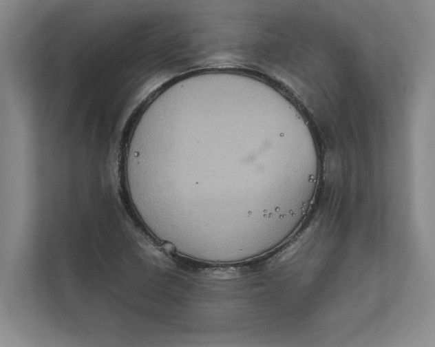 X0000111841410200908131409